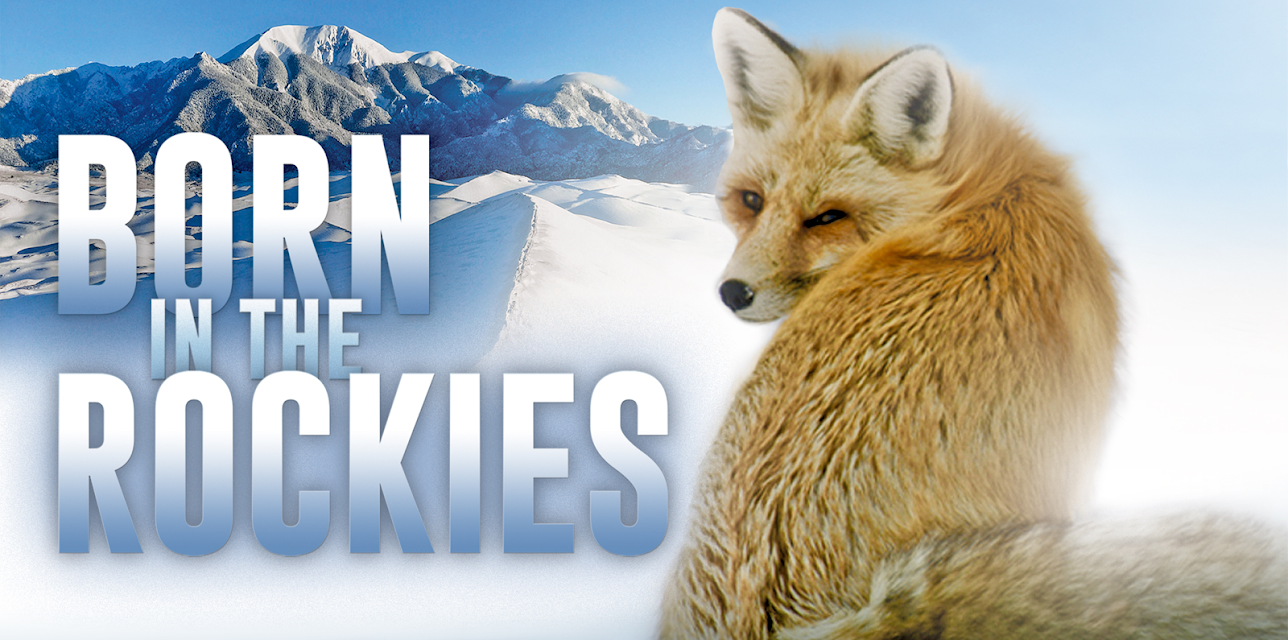 Born in the Rockies