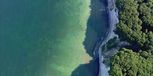 14:05: Rügen – Weiße Felsen, grüne Wälder | 3SAT | 2/2 2026