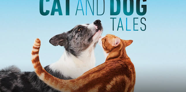 Cat and Dog Tales: Season 1