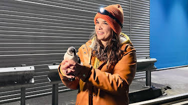 07:15: Anna und die wilden Tiere | Das Erste | 4/11 2026