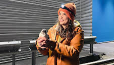 Anna und die wilden Tiere