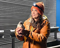 Anna und die wilden Tiere