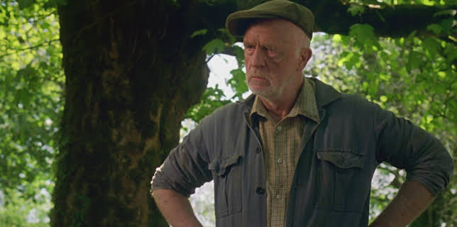 12:15: Doc Martin (S9 E5) (S9) | TV8 | 11/6 2025