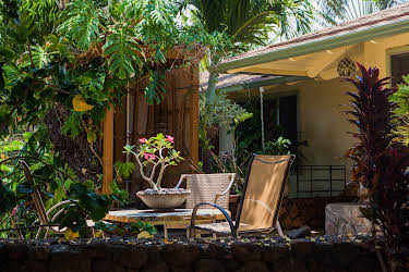 06:20: Husjakt på Hawaii (S13 E10) (S13) | VOX | 4/13 2026