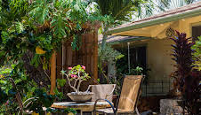 Husjakt på Hawaii (S13 E11)