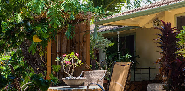 07:40: Husjakt på Hawaii (S13 E10) (S13) | VOX | 11/14 2025