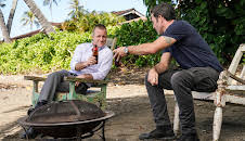 Hawaii Five-0 (S10 E21)