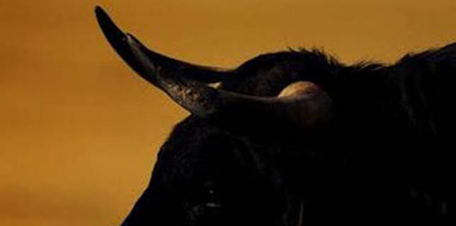 11:45: Toreo en blanco y negro | Castilla la Mancha TV | 2/28 2026