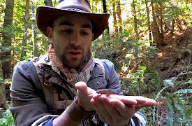 Brave Wilderness: Stung by a Scorpion!