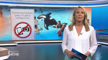08:15: Zur Sache Rheinland-Pfalz! | Tagesschau 24 | 8/16 2026