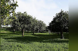 Taste Hunters: Sicily