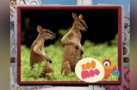 Animal All Stars: Super Jumpers