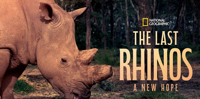 The Last Rhinos: A New Hope (2025)