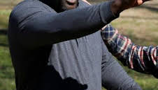 Mi casa en un árbol: Shaquille O'Neal en los árboles