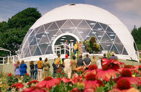 La gran batalla floral: Insectos enormes