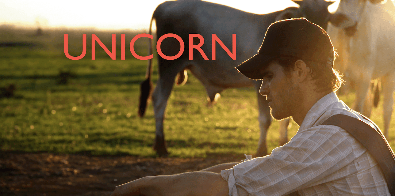 Unicorn (2014)