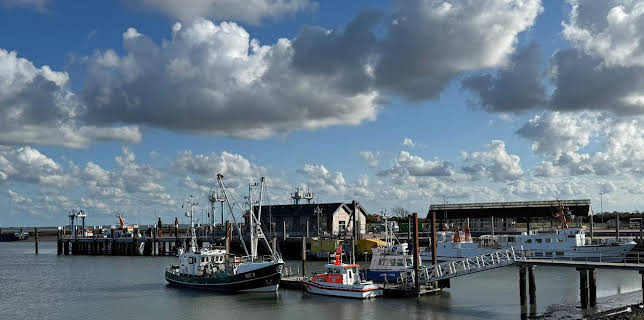 01:15: Nordseereport | NDR Fernsehen | 11/17 2025