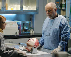 CSI: Den Tätern auf der Spur