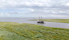 mareTV