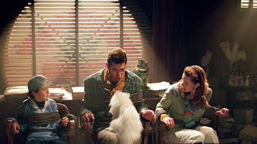10:25 PM: Cats & Dogs | Sky Family | 7/20 2026