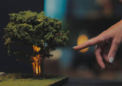 The Marvellous Miniature Workshop