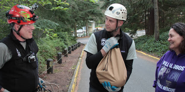 05:38: Treetop Cat Rescue (S1 E6) (S1) | Animal Planet | 12/2 2025