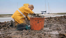 Gordon Ramsay's Future Food Stars (S1 E6)