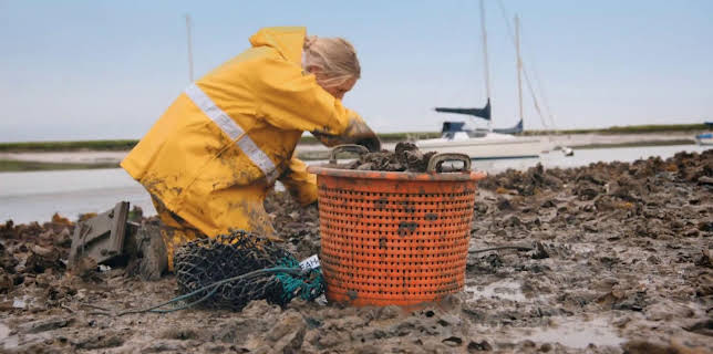 10:55: Gordon Ramsay's Future Food Stars (S1 E6) (S1) | TV3 | 1/18 2026