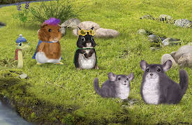 Wonder Pets: In The City: Save the Chinchilla! / Help the Golden Spider?
