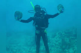 Beyond Oak Island Season 1: Finders Keepers