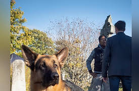 Hudson & Rex: Muerte en El Parque