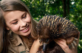 Crikey! It's the Irwins Season 1: Robert, King of Cobras