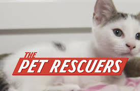 The Pet Rescuers: Not an Ordinary Day