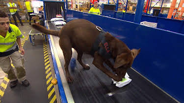 08:20: Border Patrol Australia | ProSieben Maxx | 4/7 2026