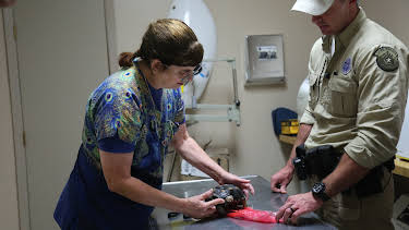 23:00: Lone Star Law  (S5 E6) (S5) | Animal Planet | 2/18 2026