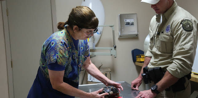 22:00: Lone Star Law  (S5 E6) (S5) | Animal Planet | 2/18 2026