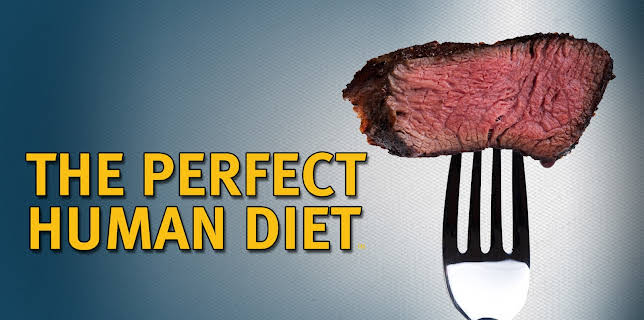 The Perfect Human Diet (2013)