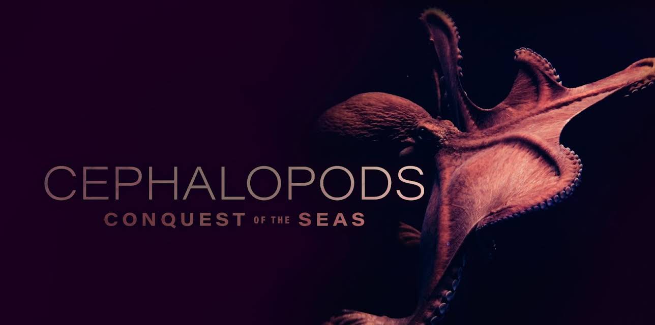 Cephalopods Conquest of the Seas (2026)