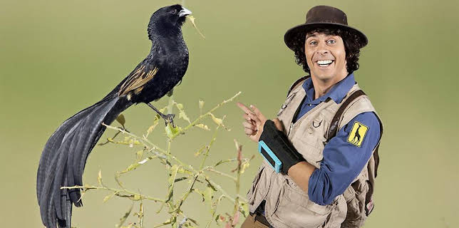 2:25 PM: Andy's Safari Adventures (S1) | Cbeebies | 11/27 2025