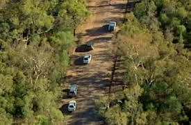 Natural Born Killer: Stephanie Scott