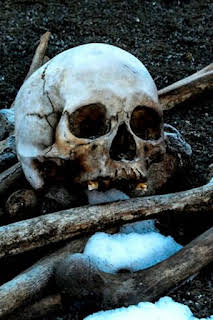 22:30: Arqueología en el hielo: Inundación en el Himalaya | Discovery Max | 12/19 2025