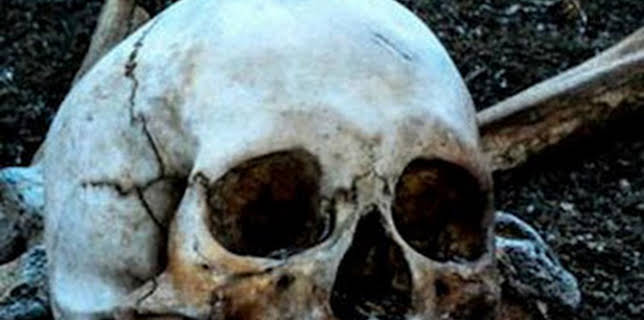 21:30: Arqueología en el hielo: La peste de la Edad de Piedra | Discovery Max | 12/5 2025