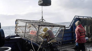 12:00 AM: Deadliest Catch (S20) | Discovery Channel | 10/27 2026
