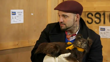 8:30 AM: Storage Hunters UK (S5 E10) (S5) | Dave | 8/2 2026