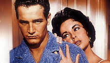 Cat on a Hot Tin Roof