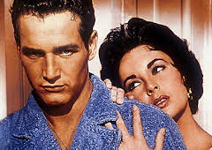 Cat on a Hot Tin Roof