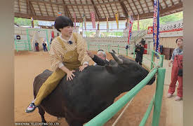 Let's Pack Up and Relocate: Okl-island 1 (Shimane)