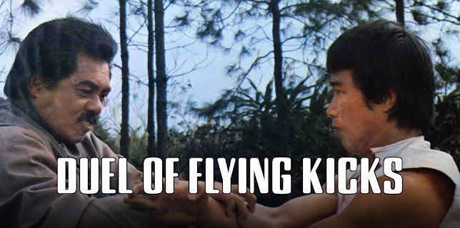 Duel Of Flying Kicks (1978)