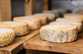 Pioneering Skills for Everyone: Modern Homesteading: Milking Goats and Making Cheese