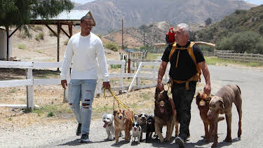 07:45: Cesar Millan: Better Human Better Dog - Bessere Menschen, bessere Hunde | Sixx | 4/19 2026